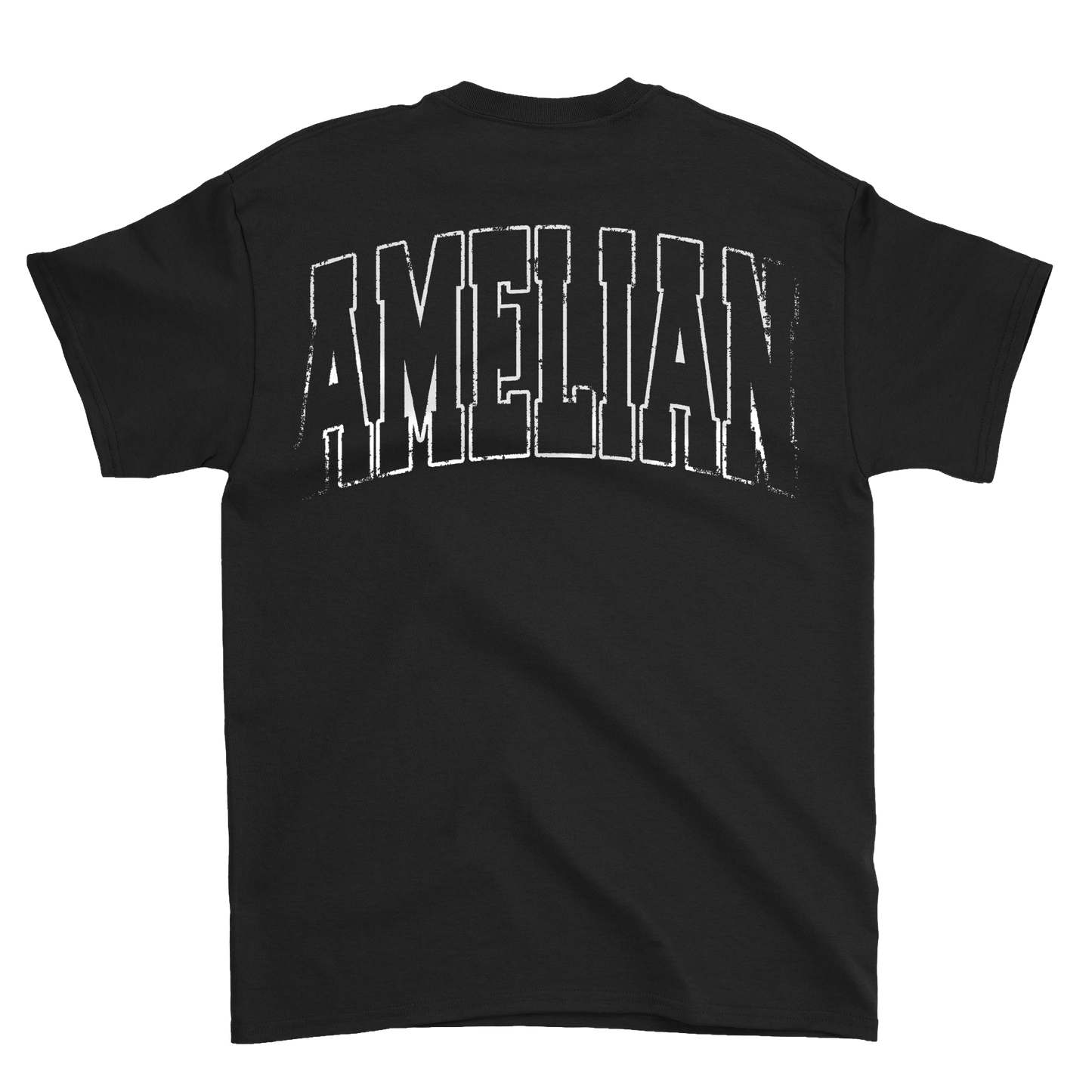 Amelian Ways Logo Tee (Black)